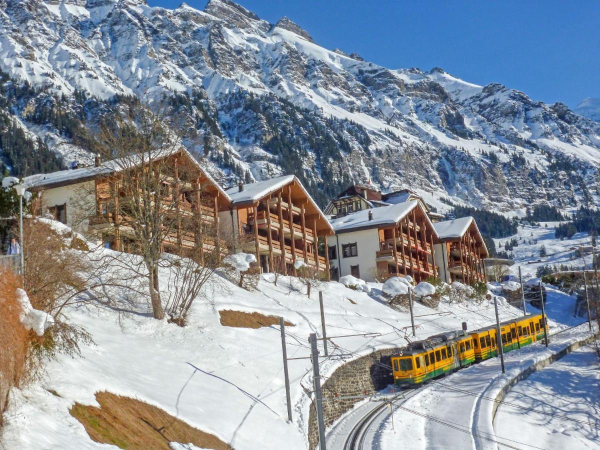 Studio Krokus By Interhome Wengen Eksteriør billede