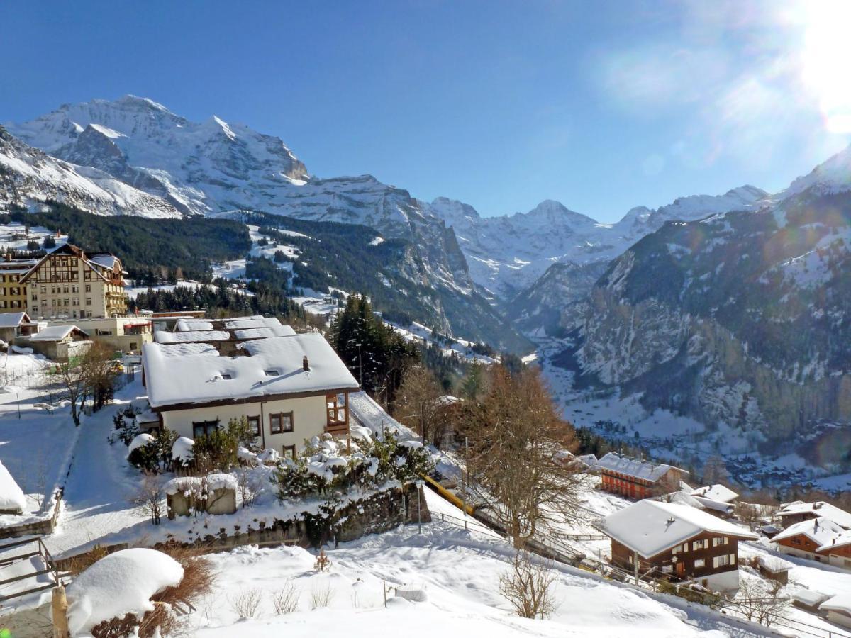 Studio Krokus By Interhome Wengen Eksteriør billede