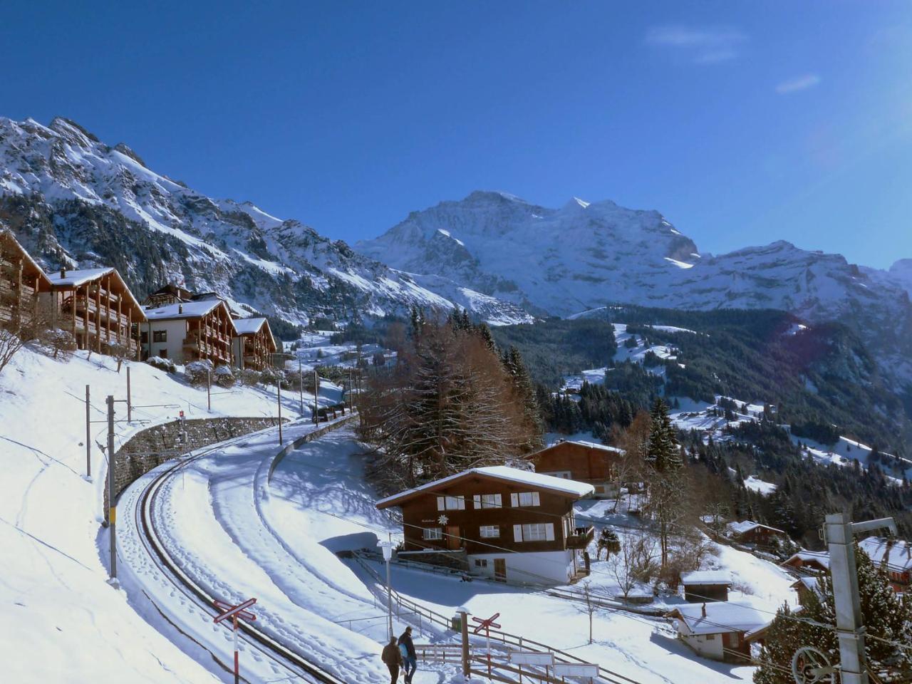 Studio Krokus By Interhome Wengen Eksteriør billede